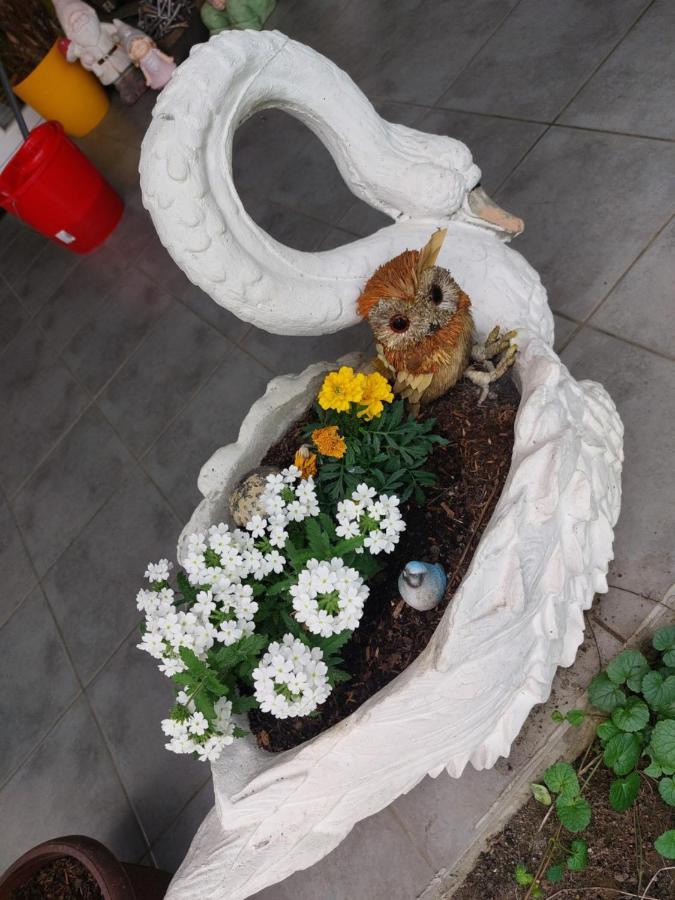 Queen House Apartman Zagreb Ngoại thất bức ảnh